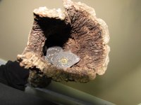 IMG_0038.jpg