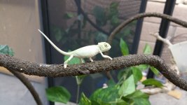 20150629_155737.jpg
