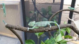 20150629_155751.jpg