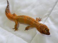 DSCN1210.jpg