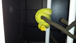 20150607_143306.jpg