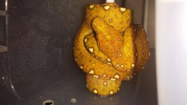 20140820_100117.jpg