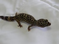 DSCN1225.jpg