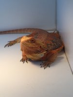 IMG_1069.jpg