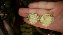 20151025_132505.jpg