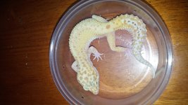 20150327_180341.jpg