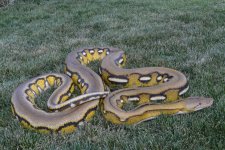 DSC_0932.jpg