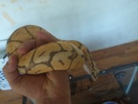 20150607_143043.jpg
