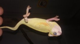 20150620_151010.jpg