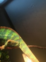 IMG_0253.JPG