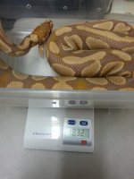 20150604_174144.jpg