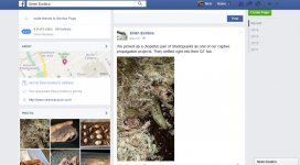 facebookpost1.jpg