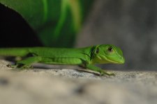 DSC_1083.jpg