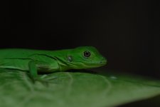 DSC_1103.jpg