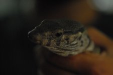 DSC_1184.jpg