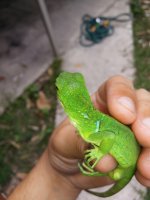 IMG_20150607_120051.jpg