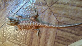 20150630_155436.jpg