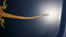 20150626_182838.jpg