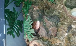 20150604_112530.jpg