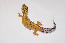 DSC05412.jpg