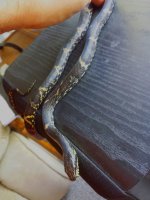 20150331_171630.jpg