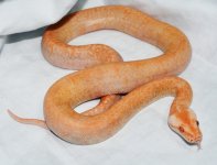 DSC_2627.jpg