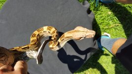 20150726_151717.jpg
