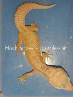 Mack Snow Patternless 1.jpg