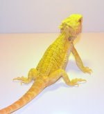 DSC_0277.jpg