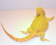 DSC_0278.jpg