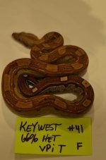 DSC_0926.jpg