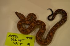 DSC_0914.jpg