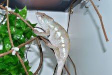 DSC_0035.jpg