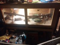 20151005_072230.jpg