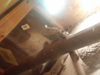 20151005_072313.jpg