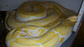 20150726_174012.jpg