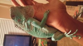 20151001_225418.jpg