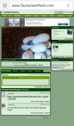 Screenshot_2015-11-09-09-11-57-1.jpg