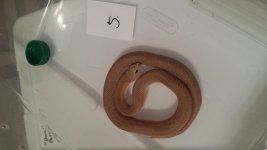 20150812_171018.jpg
