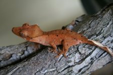 IMG_9080.jpg
