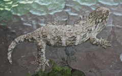 IMG_5032.jpg