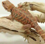 2015-10-16 02.12.09.jpg