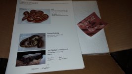 20151006_094704.jpg