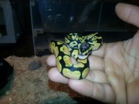 20130623_183228.jpg