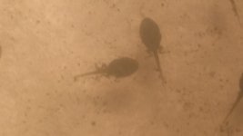 20150529_235045.jpg