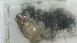 20150329_223358.jpg