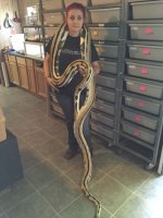 FB_IMG_1443453808008.jpg