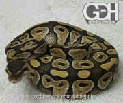 0.1 Mojave #18.jpg