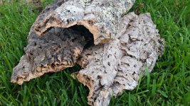 cork flat bundle.jpg