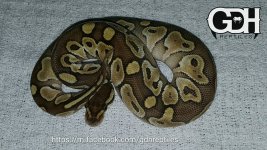 0.1 butter 13.jpg